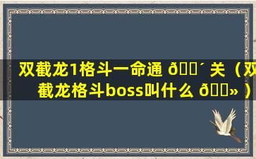 双截龙1格斗一命通 🌴 关（双截龙格斗boss叫什么 🌻 ）